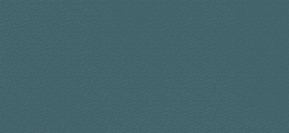 Boost Color Navy Frog Matte